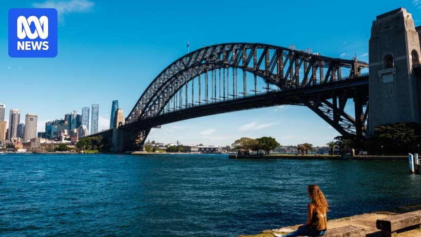 Bull shark tagging and extra drones for NSW beaches following attacks - ABC News - Featured Image