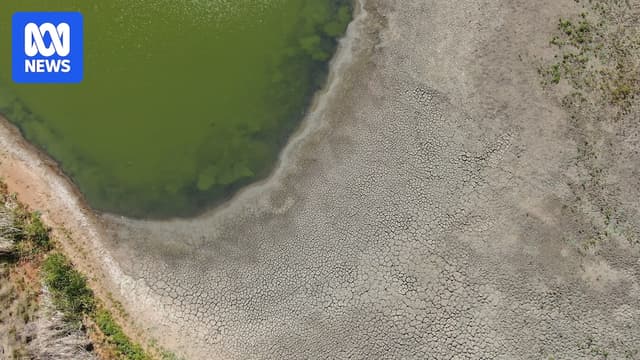 Outback NSW lake home to hundreds of turtles set to run dry in 130-year first - ABC News - Featured Image