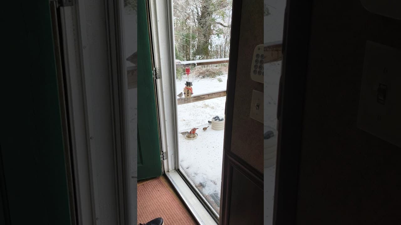 YouTube video thumbnail