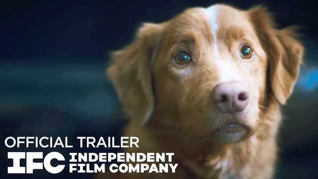 Good Boy - Official Trailer | HD | IFC Films - Featured Image