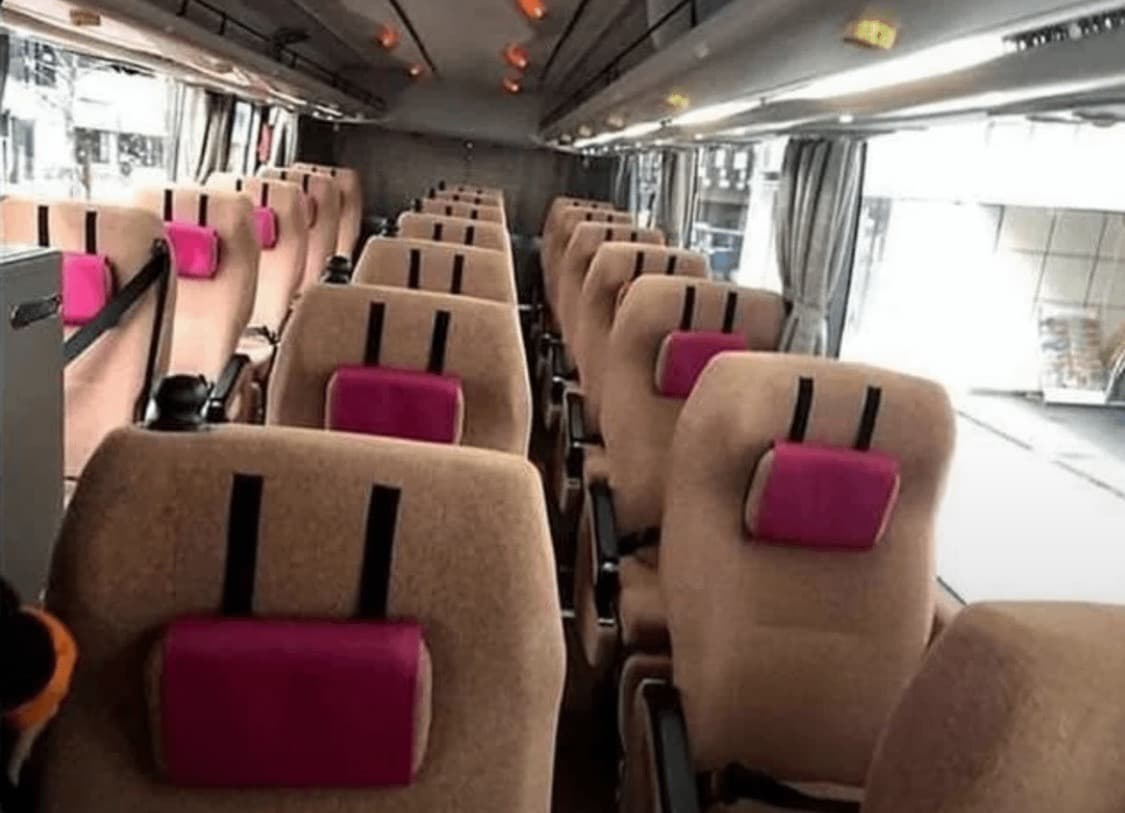 Digglett bus 🪏 - Image