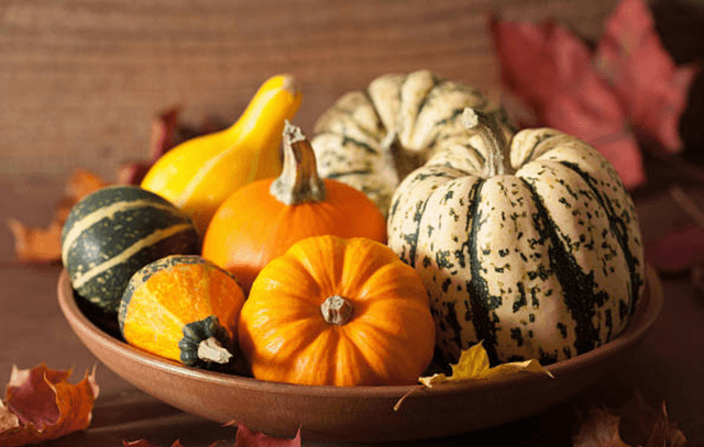 It’s Decorative Gourd Season, Motherfuckers - Featured Image