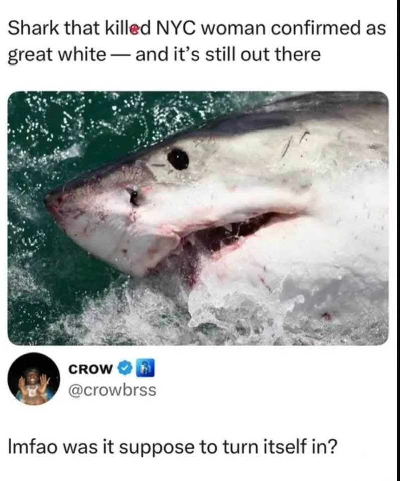 🦈 - Image