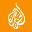 aljazeera.com - favicon