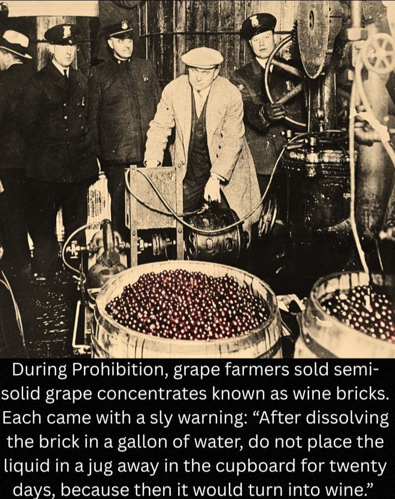 Wine bricks Helped keep spirits flowing during Prohibition - Image