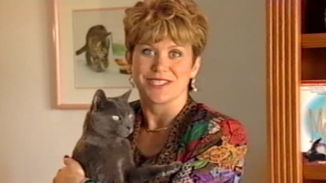 Your Cat Wants A Massage! - Featured Image