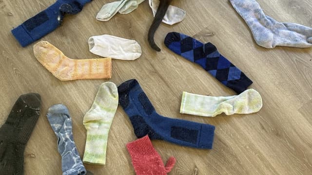 A cat named Leonardo da Pinchy doesn’t want your affection. He wants to steal your underwear - Featured Image