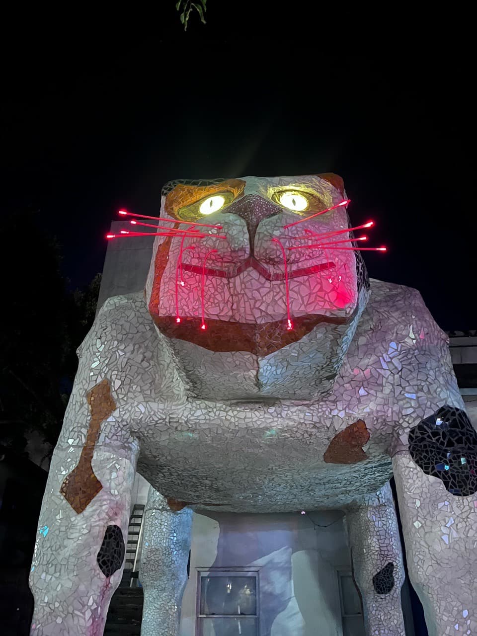 Dropping my kid off at UC Davis and there’s this cat… - Image