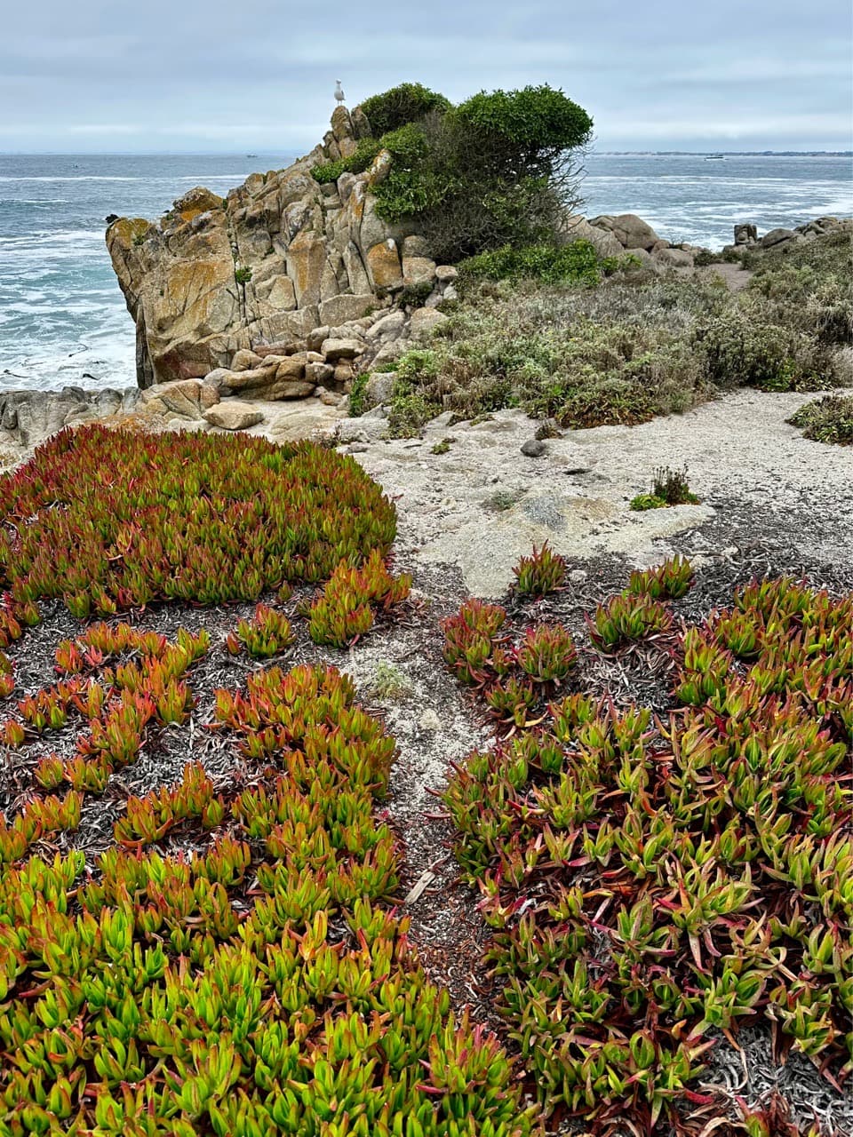 The Silence Is Deafening. - Coastal Escape - Image