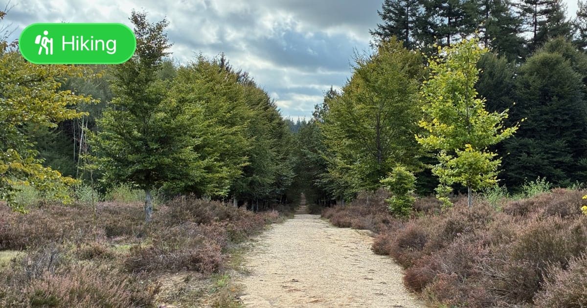 Hiked part of the Utrecht Path - Featured Image