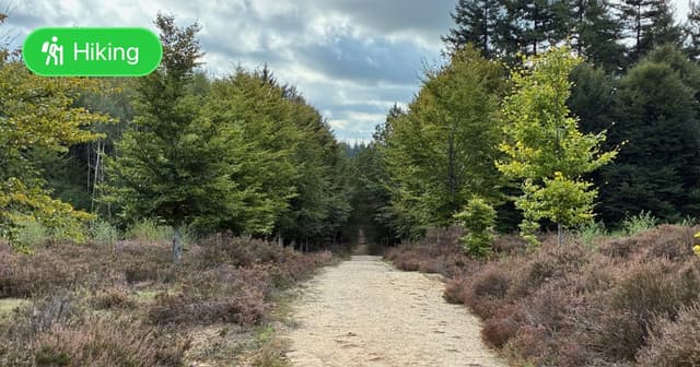 Utrecht Path part 05 - Featured Image