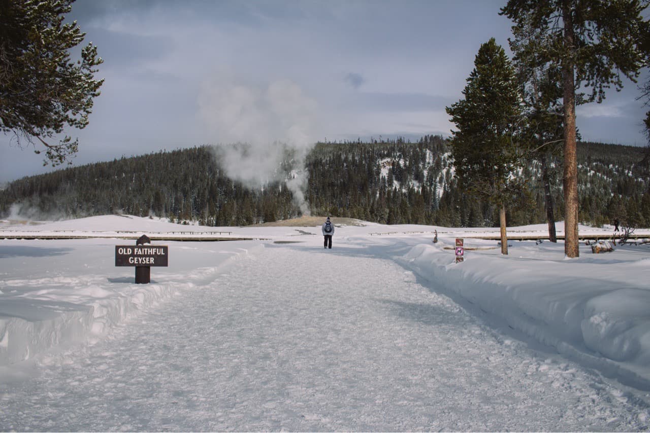 Old Faithful - Image