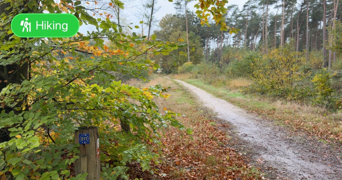 Marskramer Path part 01 - Featured Image