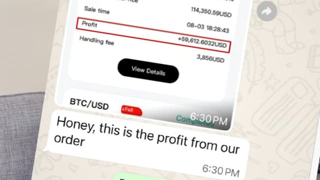 Pig butchering: Bay Area widow loses nearly $1M in crypto scheme, ChatGPT alerts her to scam - ABC7 San Francisco - Featured Image