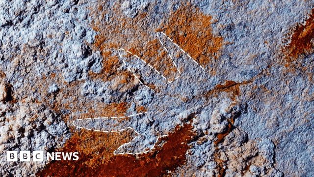Oldest cave painting could rewrite origins of human creativity - BBC News - Featured Image