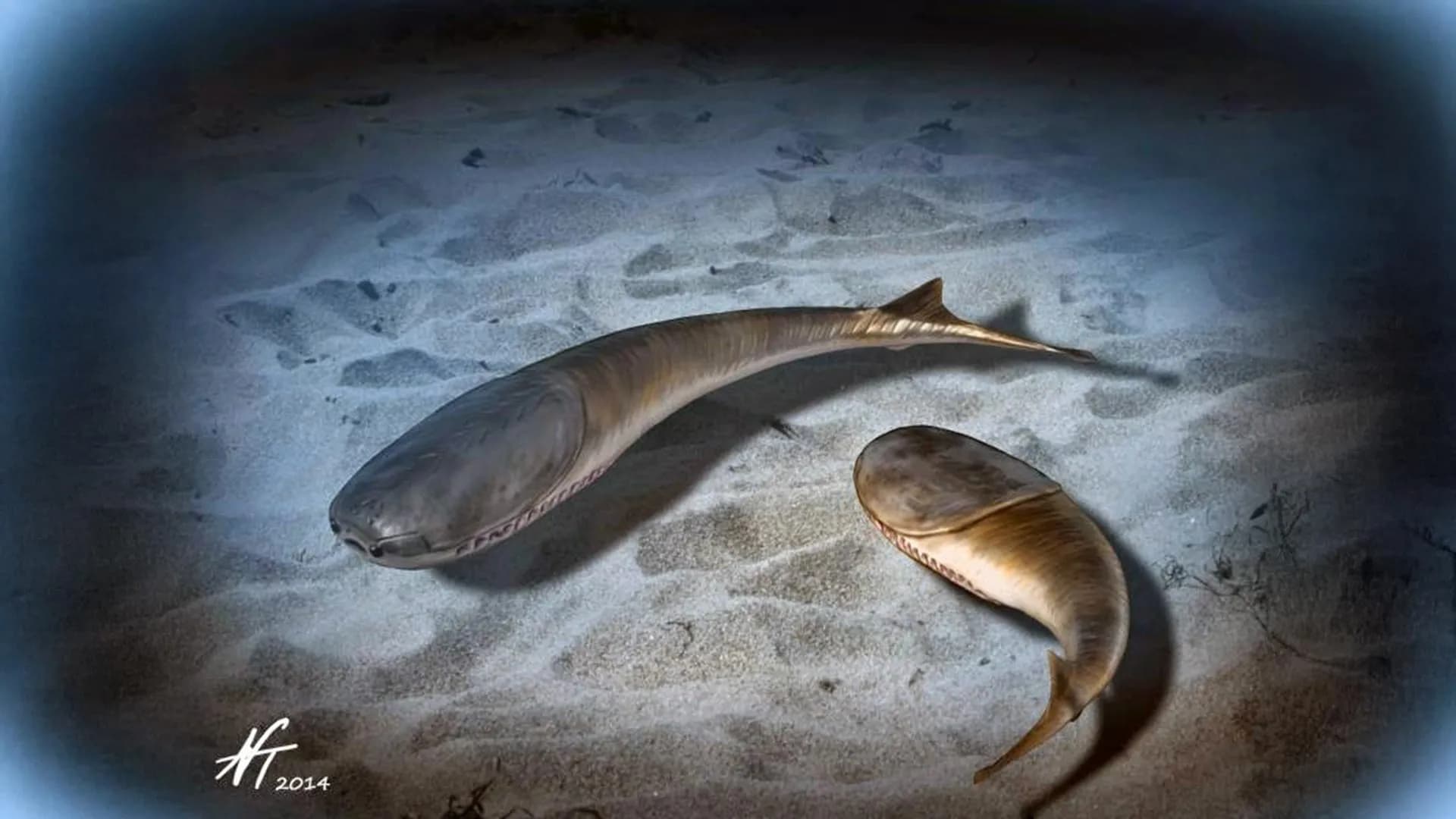 When the oceans died and life changed forever - Featured Image