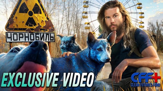 Chernobyl’s Viral “Blue Dogs” Explained - Featured Image