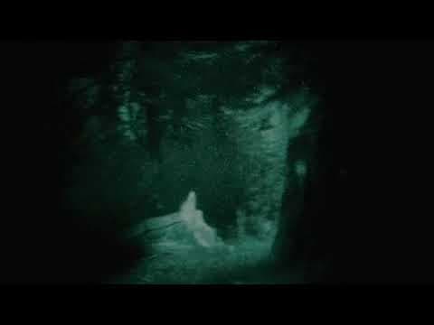 Missing 411 - The Hunted - Strange sounds - Featured Image