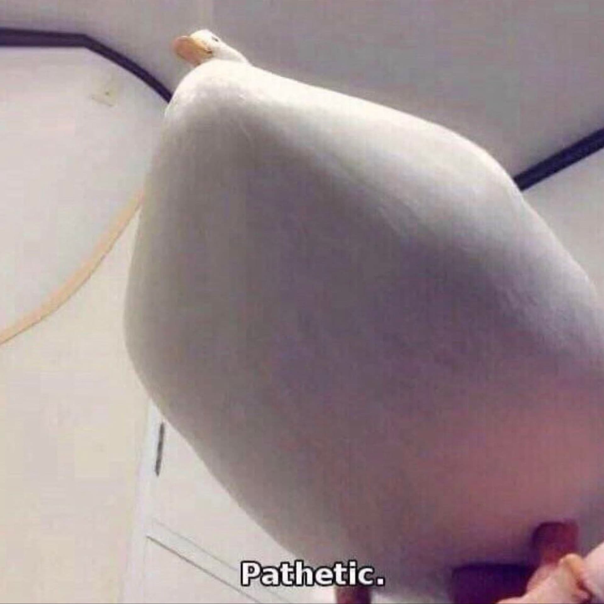 Ready Player One ebook havers Community | Digg | Digg - Featured Image